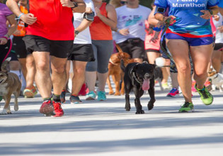 Penny Marathon: Ο φιλοζωικός Μαραθώνιος