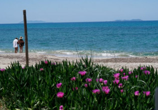 Meteo: Κοντά στον μέσο όρο της περιόδου 2010-2019 η θερμοκρασία του φετινού Απριλίου