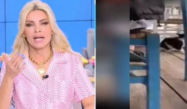 Σε έξαλλη κατάσταση η Κατερίνα Καινούργιου – «Ντράπηκε και η ντροπή, αυτοί είναι τα ζώα»