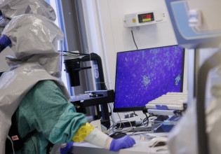 Candida auris: Μεγάλωσε στη «σκιά» του κοροναϊού και τρομάζει τους επιστήμονες – Εχουμε φάρμακα εναντίον του;