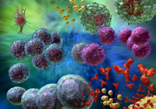 Κύτταρα – «φυσικοί φονείς» σκοτώνουν στους όγκους μπαίνοντας μέσα τους