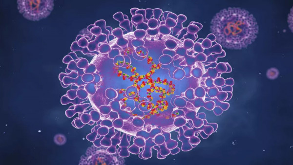 Ευλογιά των πιθήκων: Μετάλλαξη του ιού που μπορεί να κολλήσει με την αναπνοή εξετάζουν οι επιστήμονες