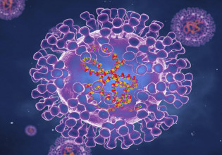 Ευλογιά των πιθήκων: Είναι απίθανο να μην έρθει στην Ελλάδα, λέει η Αθηνά Λινού