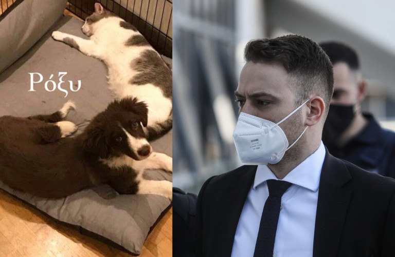 Μπάμπης Αναγνωστόπουλος: Η ανατριχιαστική περιγραφή του πώς κρέμασε τον σκύλο – «Όσο το σκότωνα και εκείνο έκλαιγε…»