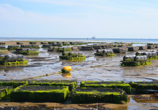Υδατοκαλλιέργεια: Το  80% της παραγωγής εξάγεται σε περισσότερες από 40 χώρες