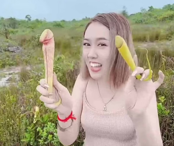 «Σταματήστε να το πιάνετε» – Έκτακτη ανακοίνωση για το… σαρκοφάγο «φυτό πέος»