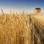 Ευρωβουλευτές γεωργίας: Παρεκκλίσεις από την ΚΑΠ στη σκιά του πολέμου