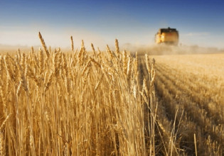 Τρόφιμα: Σοκ από τις διεθνείς αυξήσεις – Πού έχουν φτάσει οι τιμές [πίνακες]