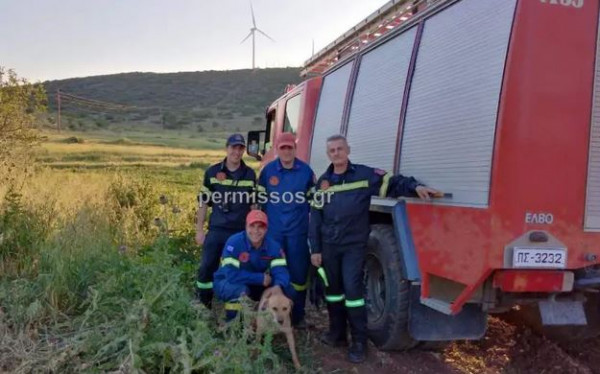 Λιβαδειά: Σκύλος έπεσε σε πηγάδι 14 μέτρων – Τον έσωσε η Πυροσβεστική