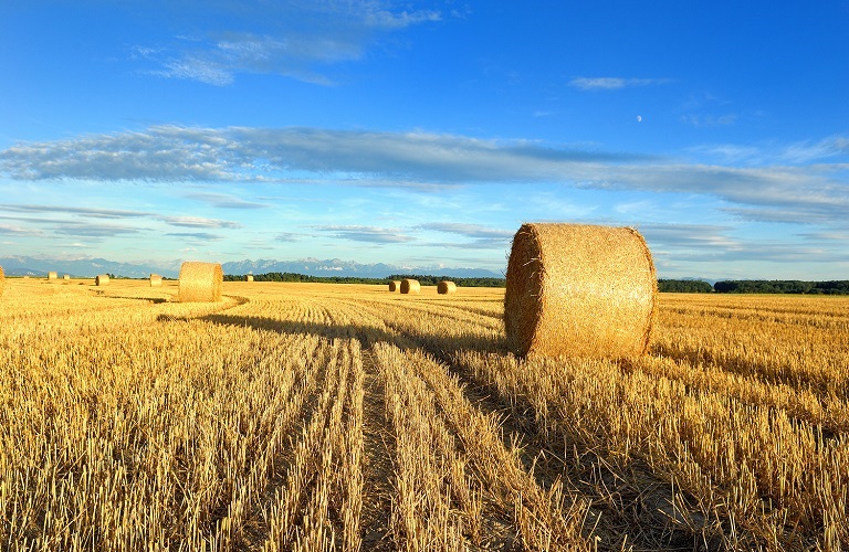 ΥπΑΑΤ: Νέες ημερομηνίες για «Πράσινο Αγροτουρισμό» και «Εκσυγχρονισμό του πρωτογενούς τομέα»