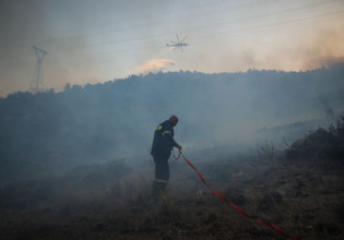 One man detained for attempted forest arson north of Athens