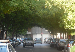 Κατερίνη: Αποκρυπτογραφήθηκε και χαρτογραφήθηκε το “DNA” του Πράσινου της πόλης