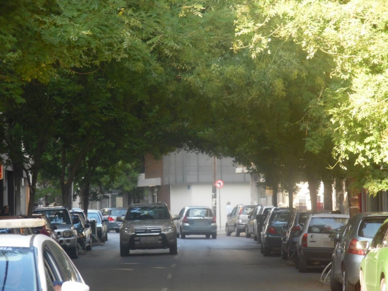 Κατερίνη: Αποκρυπτογραφήθηκε και χαρτογραφήθηκε το “DNA” του Πράσινου της πόλης