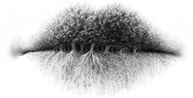 Το απόλυτο… τεστ προσωπικότητας – Τι βλέπετε στην φωτογραφία;