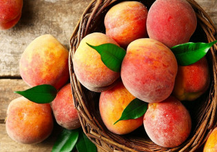 Εξαγωγές: Άλμα για τα ροδάκινα – Χαμηλές πτήσεις για τα νεκταρίνια