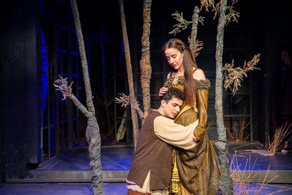 «Το Αστερόπαιδο» του Όσκαρ Ουάιλντ ταξιδεύει ανά την Ελλάδα