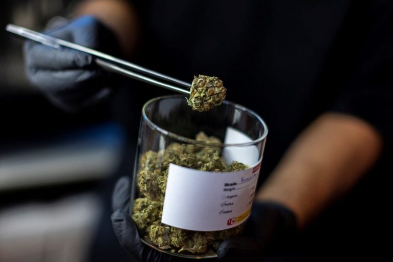 Κάνναβη: Εντός του έτους η νομιμοποίηση στη Γερμανία