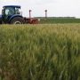 Ουκρανία: Το Κίεβο έχει απολέσει το ένα τέταρτο των καλλιεργειών, λέει ο υφυπουργός Γεωργίας