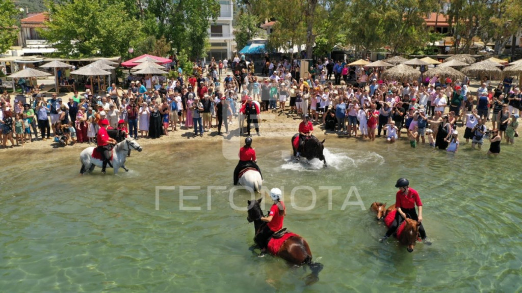 Πήλιο: Εντυπωσιακός αγιασμός των αλόγων στα Καλά Νερά