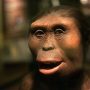 Απολίθωμα γυναίκας των σπηλαίων στη Νότια Αφρική βρέθηκε ένα εκατομμύριο χρόνια μεγαλύτερο και σύγχρονο της «Λούσι»