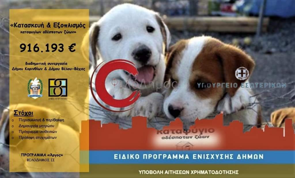 Διαδημοτική συνεργασία για την κατασκευή καταφυγίου ζώων στην Κόρινθο