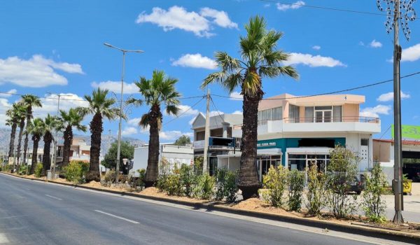 Πρασινίζει ο Δήμος Ασπροπύργου