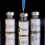 Ευλογιά των πιθήκων: Ο ΕΜΑ έτοιμος να επεκτείνει τη χρήση του εμβολίου «Imvanex»
