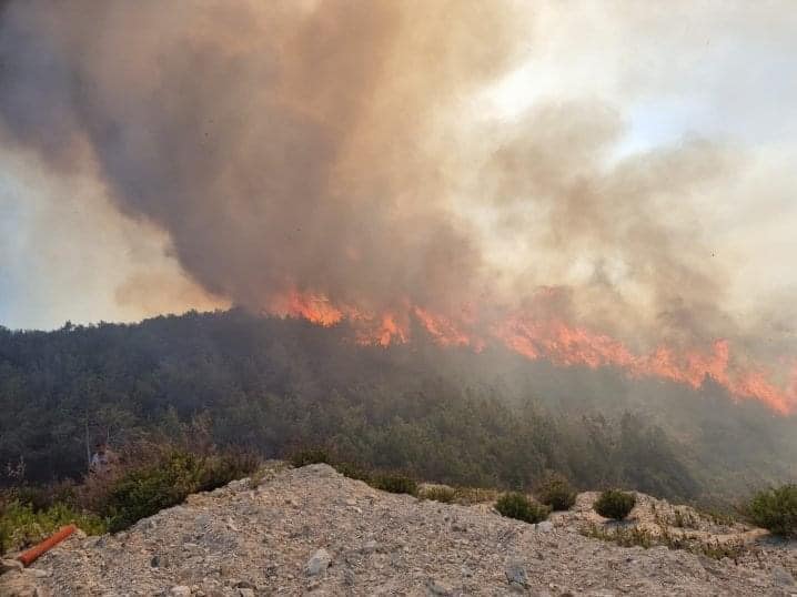 Φωτιά: Πυρκαγιά σε δασική έκταση – Κατευθύνεται προς τη θάλασσα