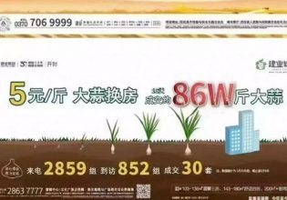 Κίνα: Εταιρεία ακινήτων ανταλλάσσει σιτάρι με… σπίτια