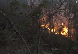 Ισπανία: Στις φλόγες χιλιάδες στρέμματα δάσους εν μέσω καύσωνα – Εκκένωθηκε το πάρκο Πουί ντι Φου