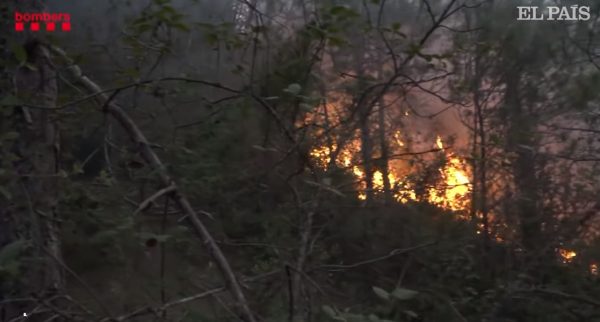 Ισπανία: Στις φλόγες χιλιάδες στρέμματα δάσους εν μέσω καύσωνα – Εκκένωθηκε το πάρκο Πουί ντι Φου