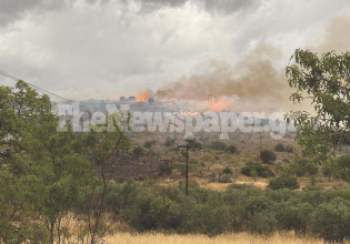 Βόλος: Μεγάλη φωτιά στις Αλυκές – Οι καιρικές συνθήκες ευνοούν την επέκταση του πύρινου μετώπου