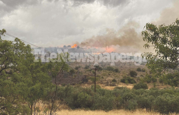Βόλος: Μεγάλη φωτιά στις Αλυκές – Οι καιρικές συνθήκες ευνοούν την επέκταση του πύρινου μετώπου