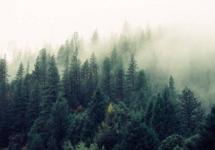 8ο Διεθνές Φεστιβάλ Ταινιών Μικρού Μήκους Αλεξάνδρειας