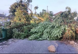 Σέρρες: Σε κατάσταση έκτακτης ανάγκης θα κηρυχθούν οι Δήμοι Νέας Ζίχνης και Αμφίπολης