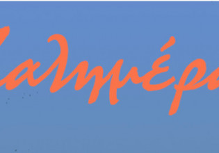 Αρκάς: Το φλαμίνγκο και το σωσίβιο «άνθρωπος»