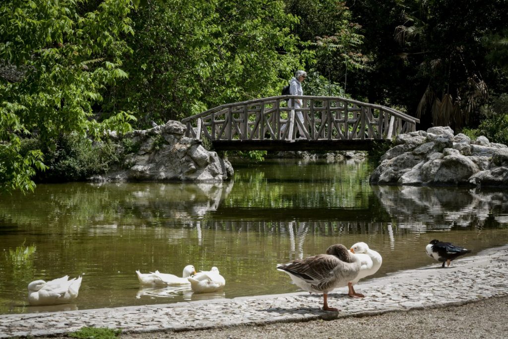 Επτά αθηναϊκά πάρκα για να σβήσεις τον καύσωνα