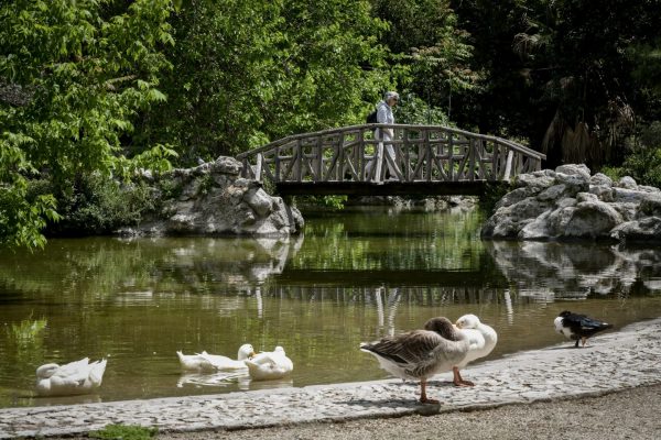 Επτά αθηναϊκά πάρκα για να σβήσεις τον καύσωνα