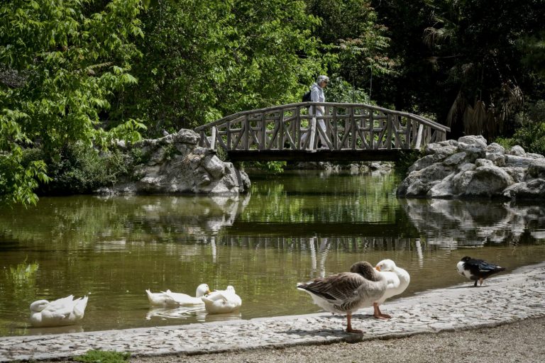 Επτά αθηναϊκά πάρκα για να σβήσεις τον καύσωνα