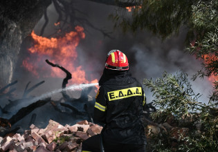 Φωτιά στα Μέγαρα – Στο σημείο πυροσβεστικές δυνάμεις