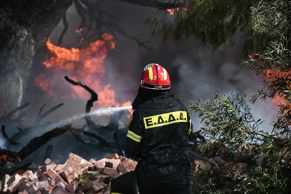 Φωτιά στα Μέγαρα – Στο σημείο πυροσβεστικές δυνάμεις