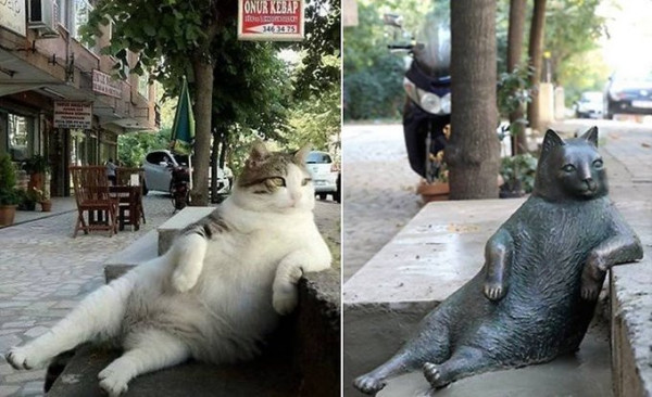 Τομπίλι: Η γάτα – σύμβολο του… αράγματος που έγινε άγαλμα στην Κωνσταντινούπολη