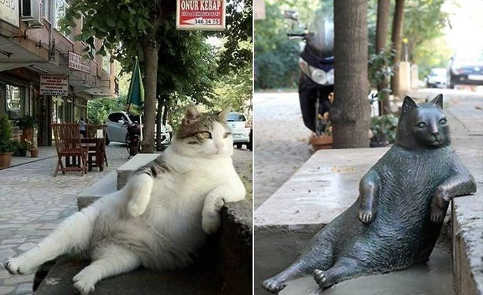 Τομπίλι: Η γάτα - σύμβολο του... αράγματος που έγινε άγαλμα στην Κωνσταντινούπολη