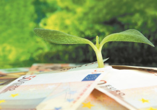 Small and Medium Enterprises: Extra tax bonus for green, digital and energy investments