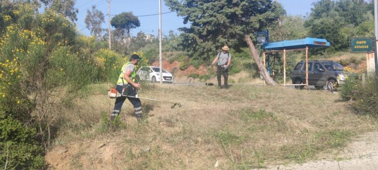 Μάχη με τον χρόνο στο Δήμο Πεντέλης για τα ακαθάριστα ιδιωτικά οικόπεδα