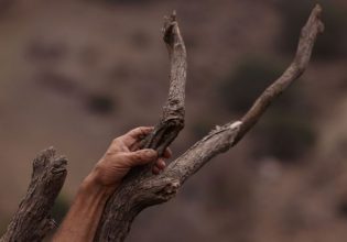 Στην εποχή του άνθρακα η Ευρώπη – Επιταχύνεται η κλιματική αλλαγή και η επισιτιστική κρίση