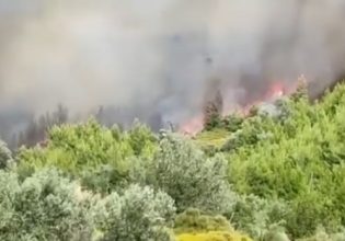 Άγιο Όρος: Μαίνεται η πυρκαγιά στο ακρωτήριο Αράπης – Ενισχύθηκαν οι δυνάμεις