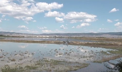 Θεσσαλονίκη: Σε άντρα μέχρι 40 ετών ανήκει η ακρωτηριασμένη σορός