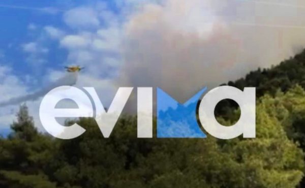 Εύβοια: Φωτιά στον Άγιο – Στην περιοχή πνέουν ισχυροί άνεμοι