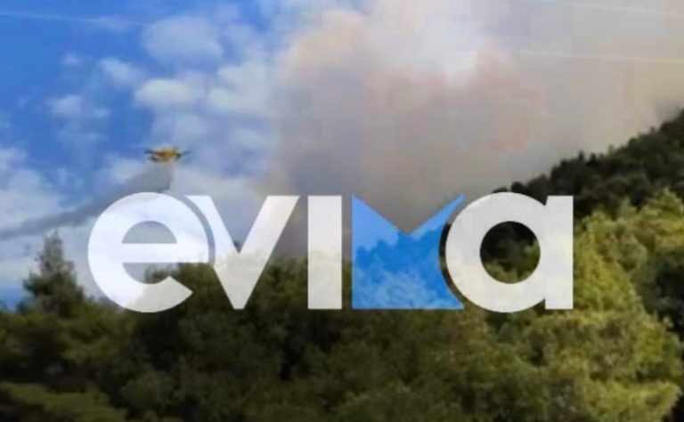 Εύβοια: Φωτιά στον Άγιο – Στην περιοχή πνέουν ισχυροί άνεμοι